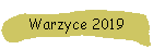 Warzyce 2019