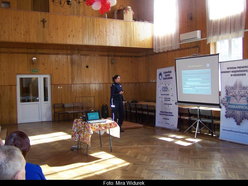 n_100_8206.jpg