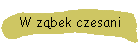 W zbek czesani