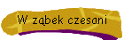 W zbek czesani