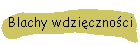 Blachy wdzicznoci