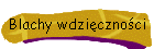 Blachy wdzicznoci