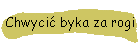 Chwyci byka za rogi