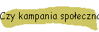 Czy kampania społeczna to lekarstwo czy suplement na otarcie łez?