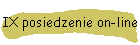 IX posiedzenie on-line