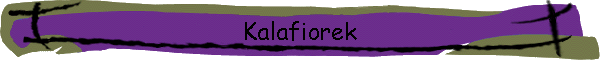 Kalafiorek