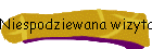 Niespodziewana wizyta