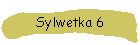 Sylwetka 6