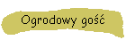 Ogrodowy go