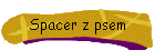 Spacer z psem