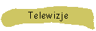 Telewizje