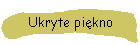 Ukryte pikno