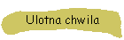 Ulotna chwila