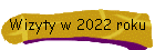 Wizyty w 2022 roku