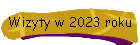 Wizyty w 2023 roku