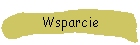 Wsparcie