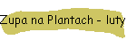 Zupa na Plantach - luty 2020