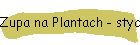 Zupa na Plantach - stycze 2020
