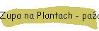 Zupa na Plantach - padziernik 2019